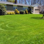 How Expert Landscaping Services Can Boost Your Home’s Curb Appeal in Rosemount