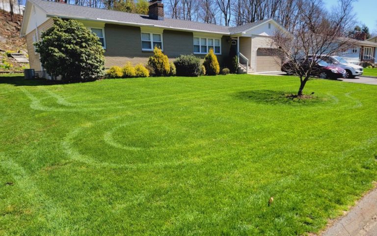 How Expert Landscaping Services Can Boost Your Home’s Curb Appeal in Rosemount