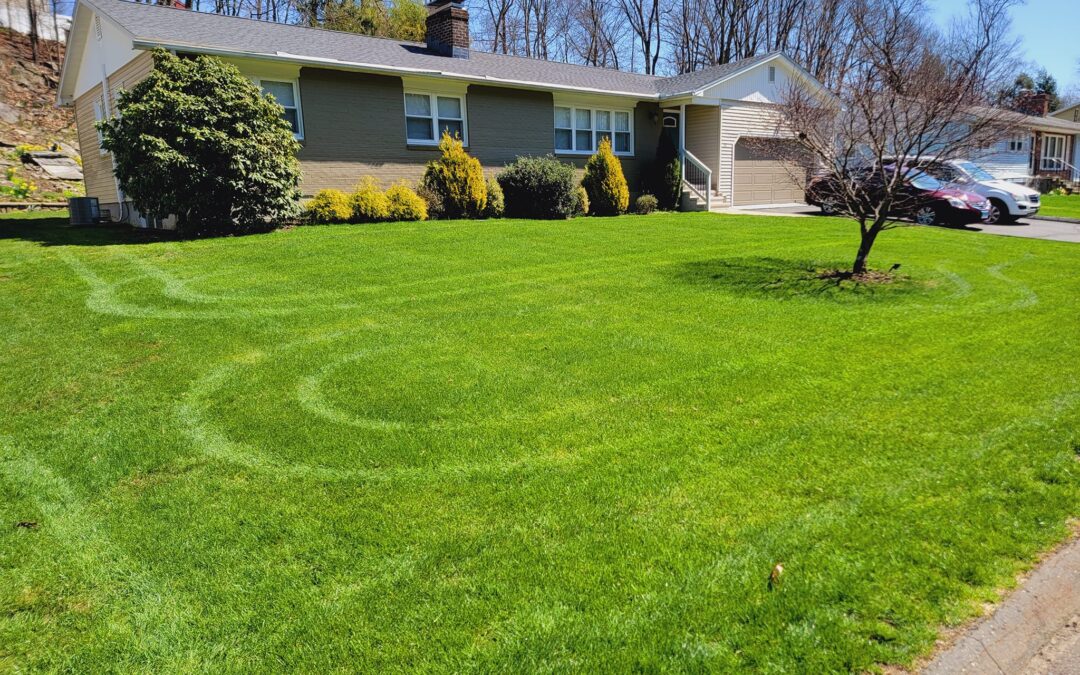 Expert Landscaping Services