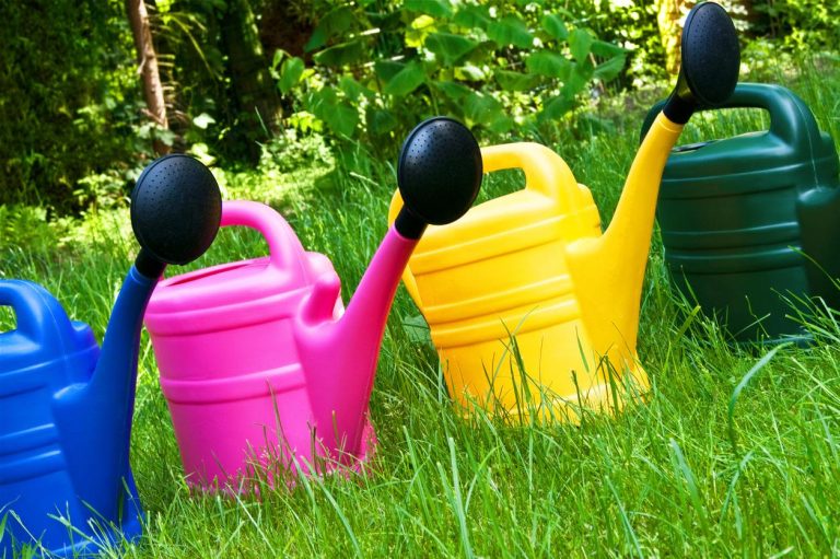 Gartenpflege Gießen – Individuelle Lösungen für jeden Garten